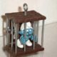 Smurf in kooi